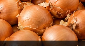 Fresh yellow onions